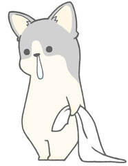 Corgi with runny nose holding a towel (gray)