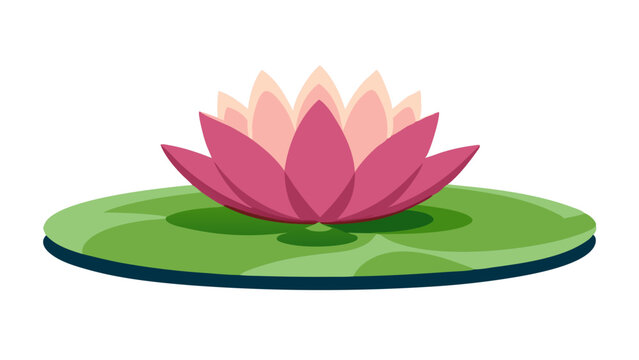 Lotus For Vesak day