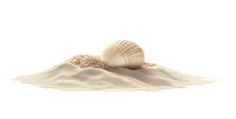 seashell on sand isolated on white background
