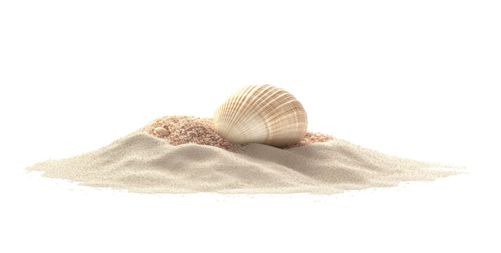 seashell on sand isolated on white background