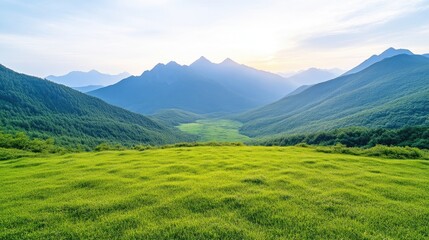 Obraz premium Lush valley, mountain panorama, tranquil scene