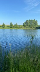 Lake in summer