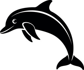 dolphin isolated on white background