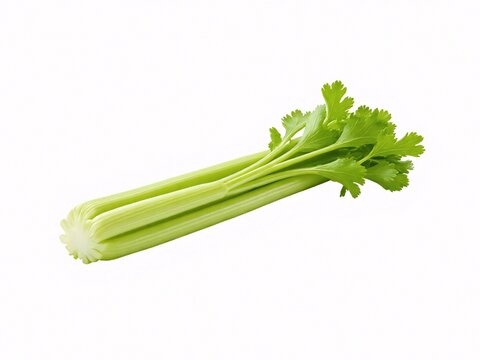 bunch of fresh celery