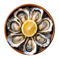 fresh oysters and lemon on ice in a bowl.