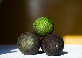 primer plano de aguacates en proceso de maduración - foto  de stock 