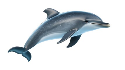 Fototapeta premium Realistic 3D Dolphin Model for Educational and Creative Projects
