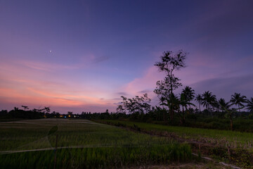The twilight light that scatters in the sky of Cangkringan, Sleman, creates a beautiful gradation of colors that is reflected in the expanse of green rice fields.    © Saska Rahmad Feriska