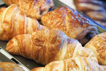 Freshly baked croissants displayed in a bakery's showcase