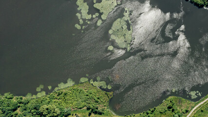 water ripples on the lake with reflections of sparkle sunlight. summer landscape on windy sunny day. aerial top view.