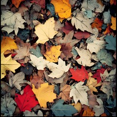 Obraz premium Autumn Leaves Ground Cover, Colorful Fall Foliage Texture