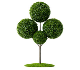 Green Round Trees with Lush Foliage on a Grass Base Design Isolate on Transparent Background, cutout, png