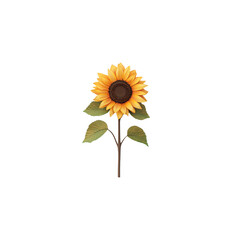 Fototapeta premium Realistic sunflower isolated on white background