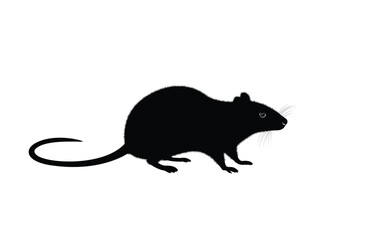 Rats [Converted]
