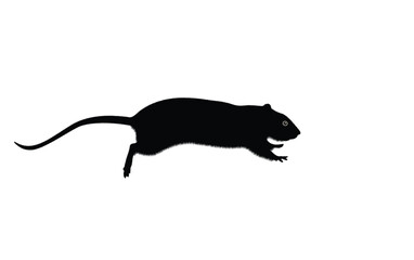 Rats [Converted]