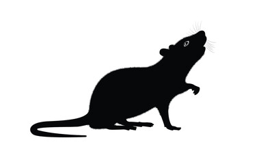 Rats [Converted]