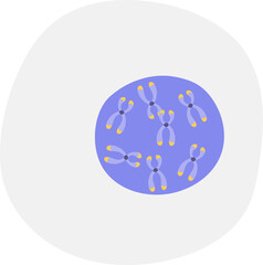 Simplified Cell Diagram Isolated Educational Biology Illustration