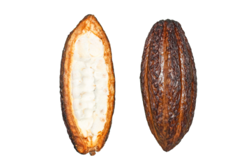 Cacao pod with a brown exterior and creamy white interior showcases its natural texture, isolated on white, PNG