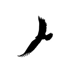 Majestic Black Silhouette of a Soaring Eagle in Flight for Wildlife Art, Inspiring Nature Promotions, and Dynamic Marketing Campaigns