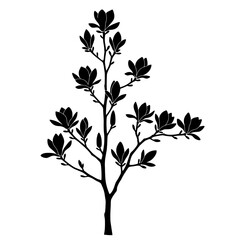 Magnolia Silhouette: A striking silhouette of a magnolia tree in full bloom, with elegant black contours and delicate details, representing natural beauty.