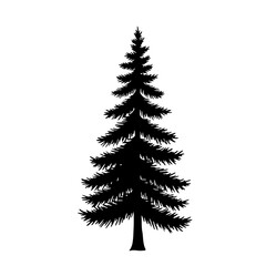 Evergreen Silhouette: A majestic evergreen stands tall in silhouette, its intricate branches and needles reaching towards the sky. The iconic shape represents resilience, nature's artistry.
