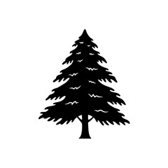 Evergreen Tree Silhouette: A striking silhouette of a majestic evergreen tree, its branches reaching towards the sky.