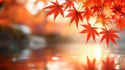 A shot of gourmet sushi on a white table, with soft lighting to create a delicate ambiance