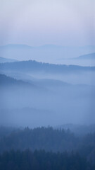 Fototapeta premium Misty mountain range with forest in the foreground