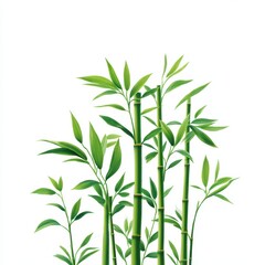 Fototapeta premium Green bamboo stalks with leaves on white background
