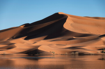 Erg Chebbi Sand Dunes and a lake in an Oasis, Merzouga, Morocco