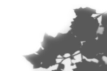 Silhouette Shadow Overlay