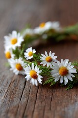 Obraz premium Delicate floral crown crafted from fresh daisies, symbolizing se