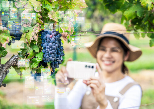 Smart vineyard system with asian winegrower with mobile augmented reality - Powered by Adobe