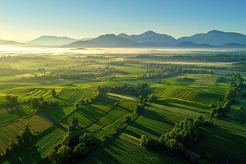 Obraz premium Verdant terraced fields, distant mountains shrouded in mist, early morning light casting long shadows over the landscape