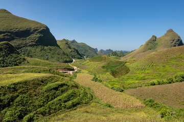 Fototapeta premium Set amidst majestic, undulating hills, Ba Quang Hill is of unique, wild and poetic beauty. Located about 70km east of Cao Bang city center, Ba Quang grass hill (also known as Vinh Quy grass hill) .
