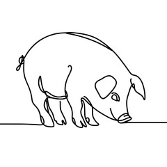 Fototapeta premium Pig sniffing ground in continuous line drawing