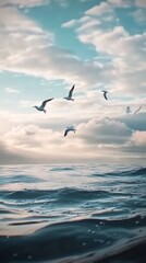 Obraz premium A realistic video shows seagulls flying over the ocean near an incredibly beautiful sea water birds sky.
