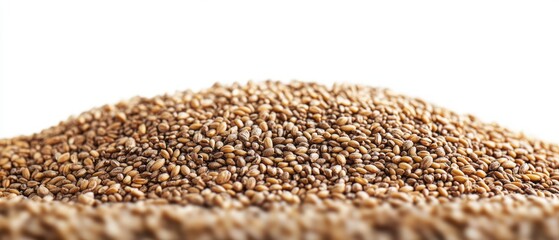 Obraz premium A large pile of wheat grains on white background