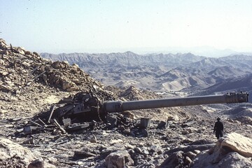 In the photo there is an anti aircraft gun