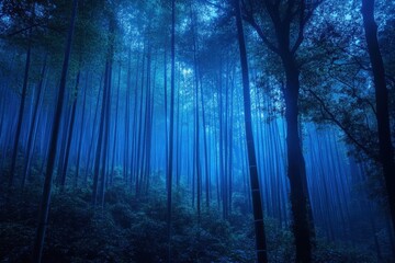 Obraz premium A blue-toned bamboo forest with a mystical, ethereal, and moody atmosphere. Use for fantasy, nature, or background with tranquil and mysterious concepts.