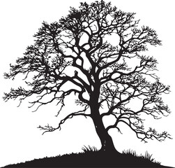Obraz premium Pedunculate Oak tree silhouette vector illustration