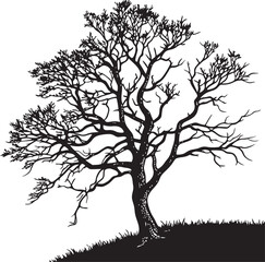 Obraz premium Pedunculate Oak tree silhouette vector illustration