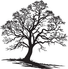 Pedunculate Oak tree silhouette vector illustration