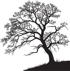 Pedunculate Oak tree silhouette vector illustration