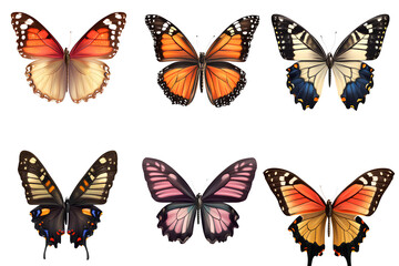 Cute flowers, watercolor illustration style, PNG transparent background