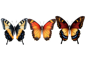 Fototapeta premium Vibrant, Colorful Butterfly Clipart: a vector illustration set on a transparent background