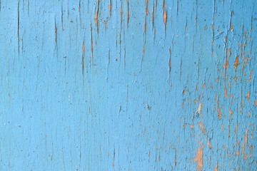 The texture of old blue paint with cracks. Painted wooden surface.