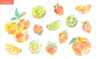 Vector illustration set of abstract kiwis, strawberries, and oranges painted in watercolor. Hand-drawn summer fruit clipart collection.