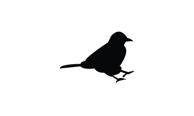 African red eyed bulbul bird Silhouette Design  And Illustration. 