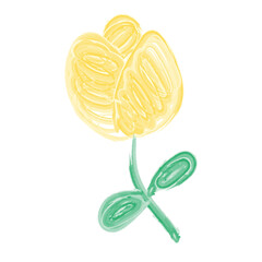 Watercolor Illustration of Yellow Tulip Icon Single